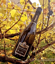 Charger l'image dans la galerie, BLANC DE BLANCS BRUT Carton de 6 bouteilles