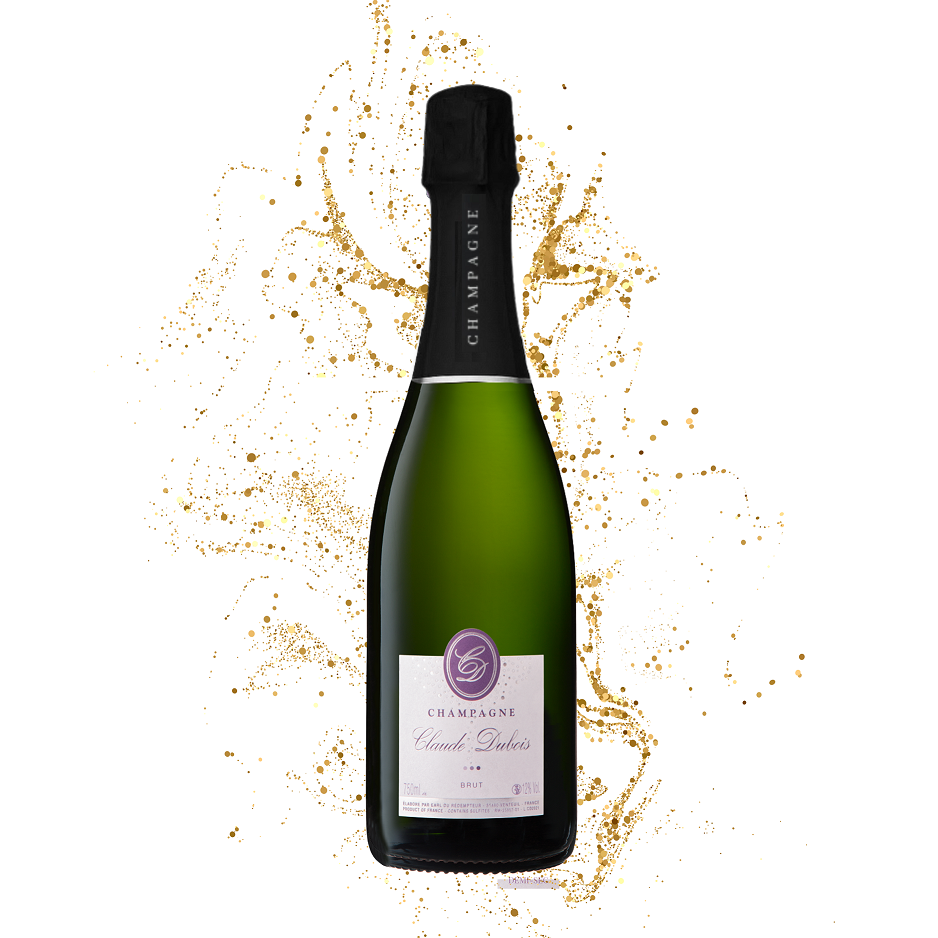 CLAUDE DUBOIS BRUT  Carton de 6 bouteilles